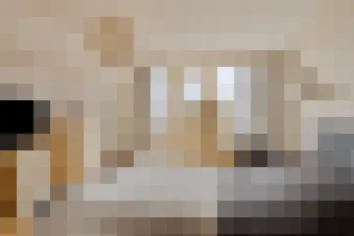 Beggelderveldweg 18 Dinxperlo thumbnail 25