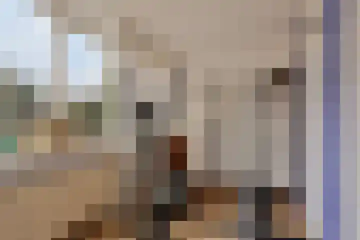 Beggelderveldweg 18 Dinxperlo thumbnail 26