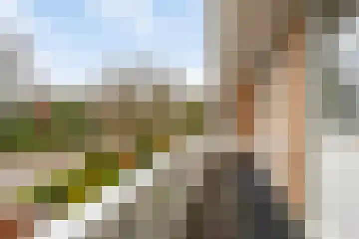 Beggelderveldweg 18 Dinxperlo thumbnail 28