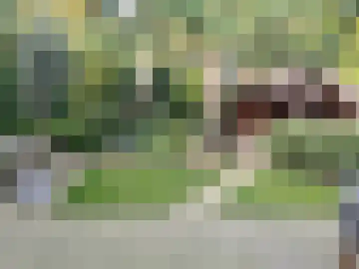 Beggelderveldweg 18 Dinxperlo thumbnail 32