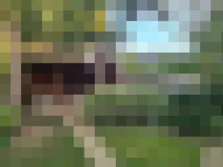 Beggelderveldweg 18 Dinxperlo thumbnail 33