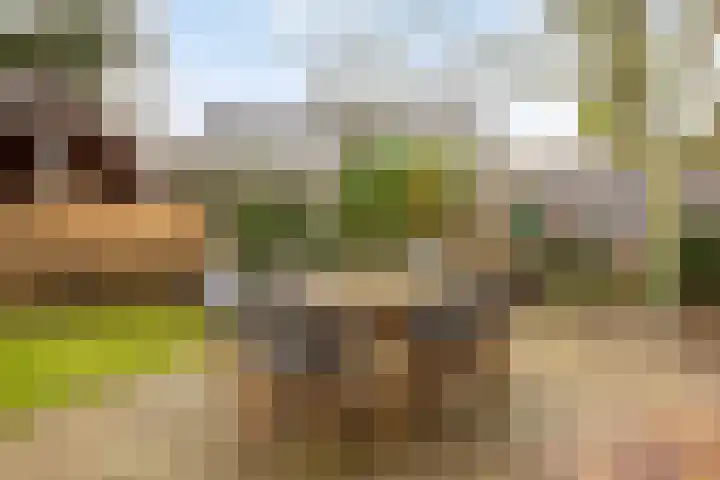 Beggelderveldweg 18 Dinxperlo thumbnail 34