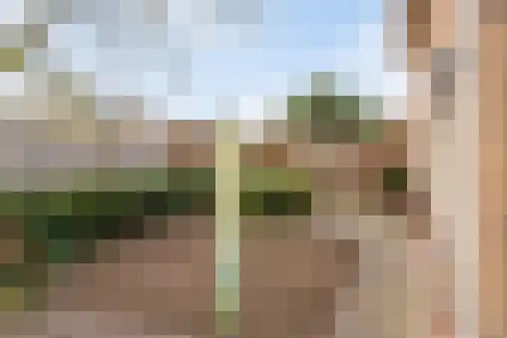 Beggelderveldweg 18 Dinxperlo thumbnail 35