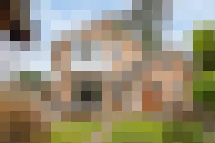 Beggelderveldweg 18 Dinxperlo thumbnail 36