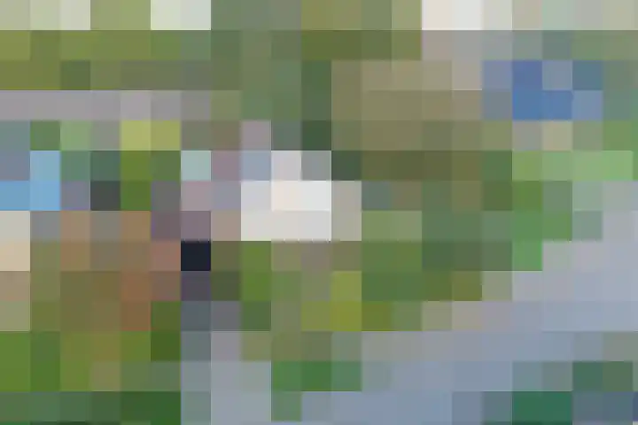 Beggelderveldweg 18 Dinxperlo thumbnail 39