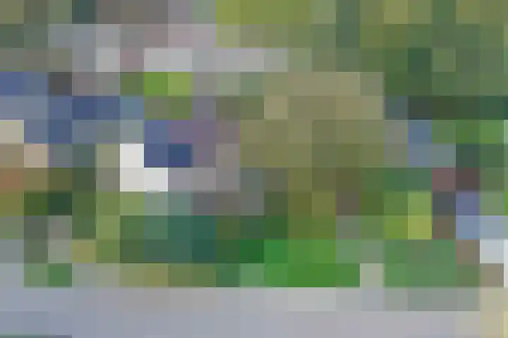 Beggelderveldweg 18 Dinxperlo thumbnail 40