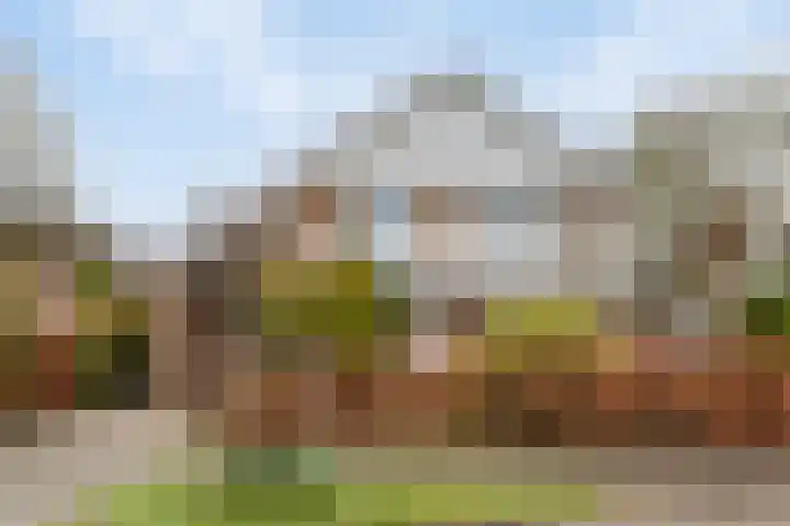 Beggelderveldweg 18 Dinxperlo thumbnail 7
