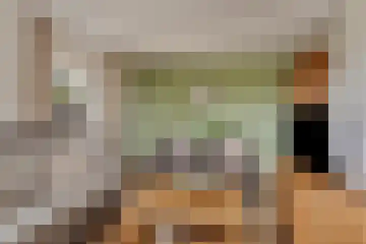 Beggelderveldweg 18 Dinxperlo thumbnail 9