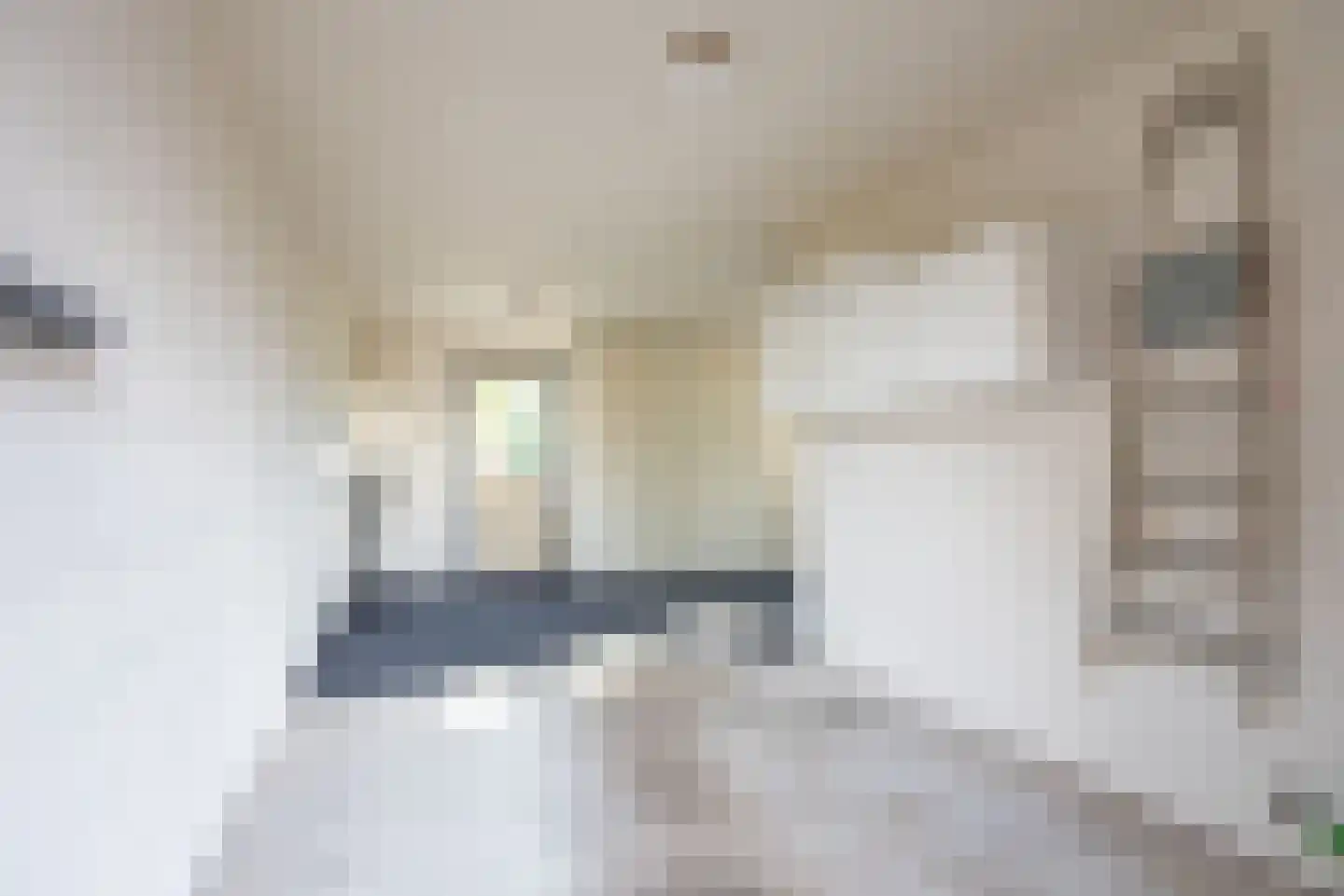 Beggelderveldweg 34 C Dinxperlo thumbnail 36