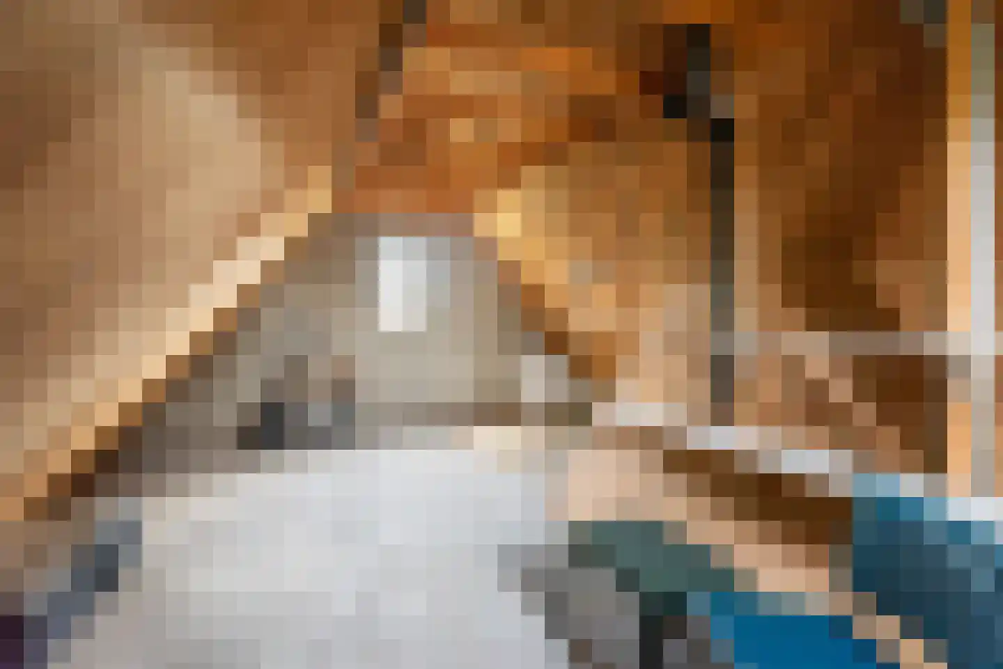 Beggelderveldweg 34 C Dinxperlo thumbnail 40