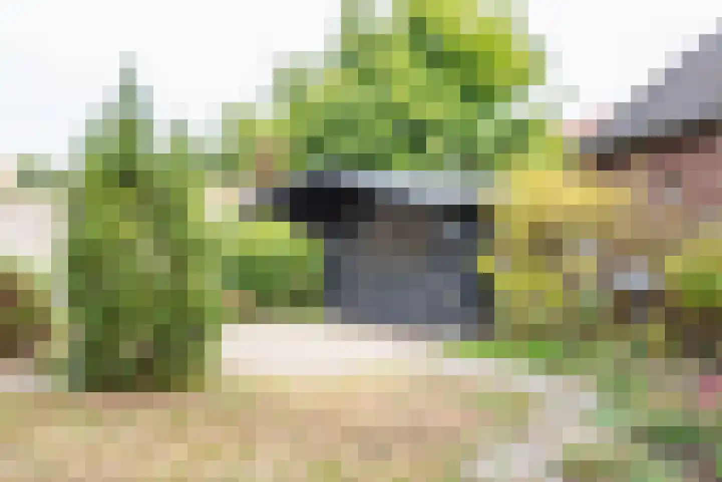 Beggelderveldweg 34 C Dinxperlo thumbnail 43