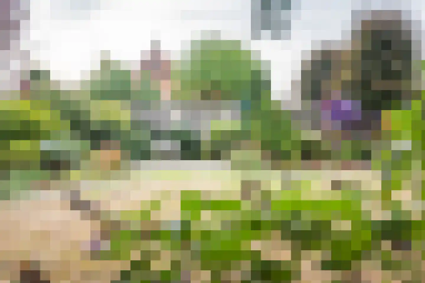 Beggelderveldweg 34 C Dinxperlo thumbnail 45