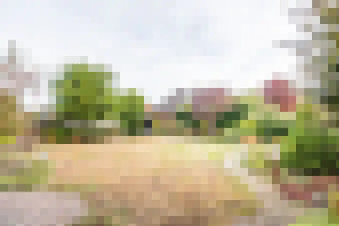 Beggelderveldweg 34 C Dinxperlo thumbnail 46