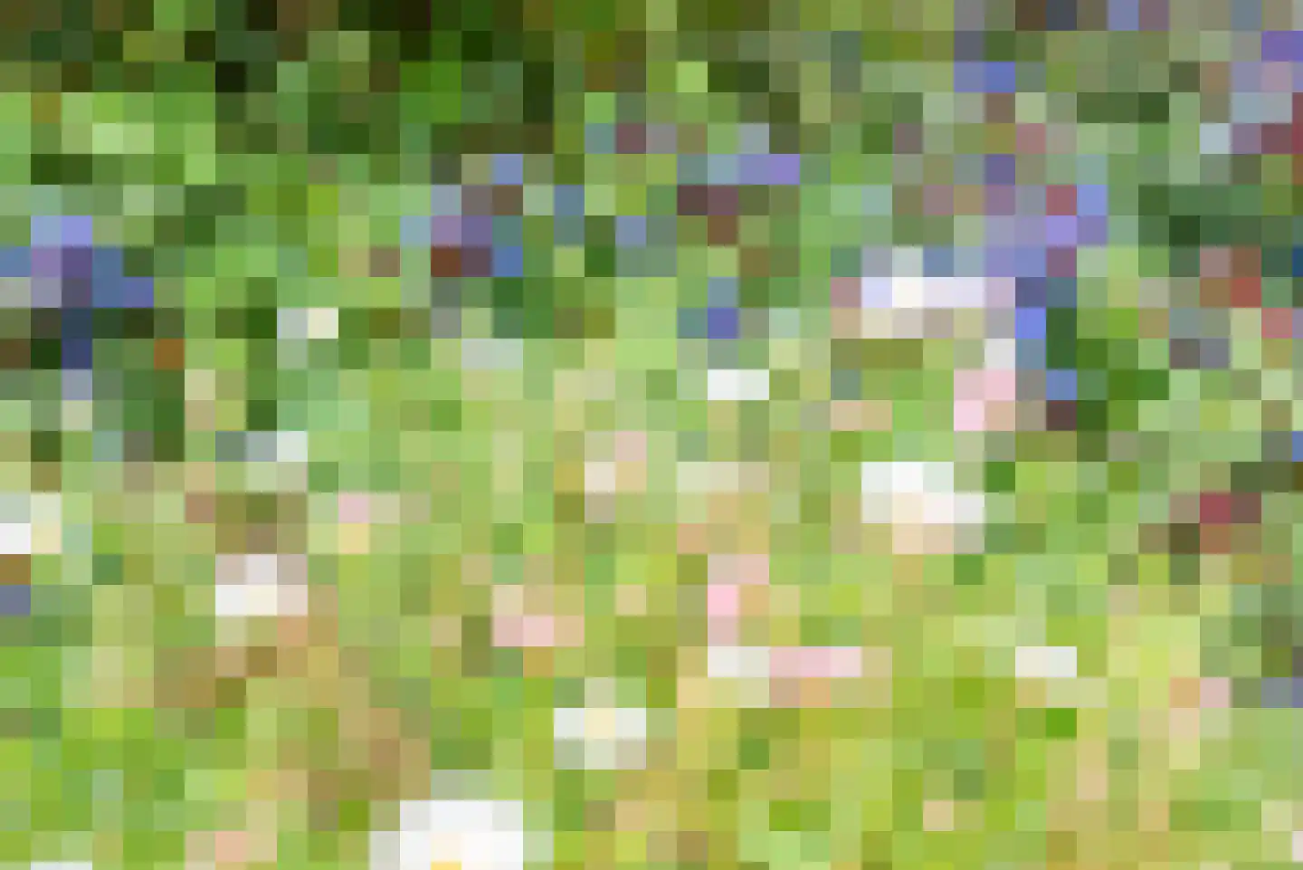 Beggelderveldweg 34 C Dinxperlo thumbnail 49