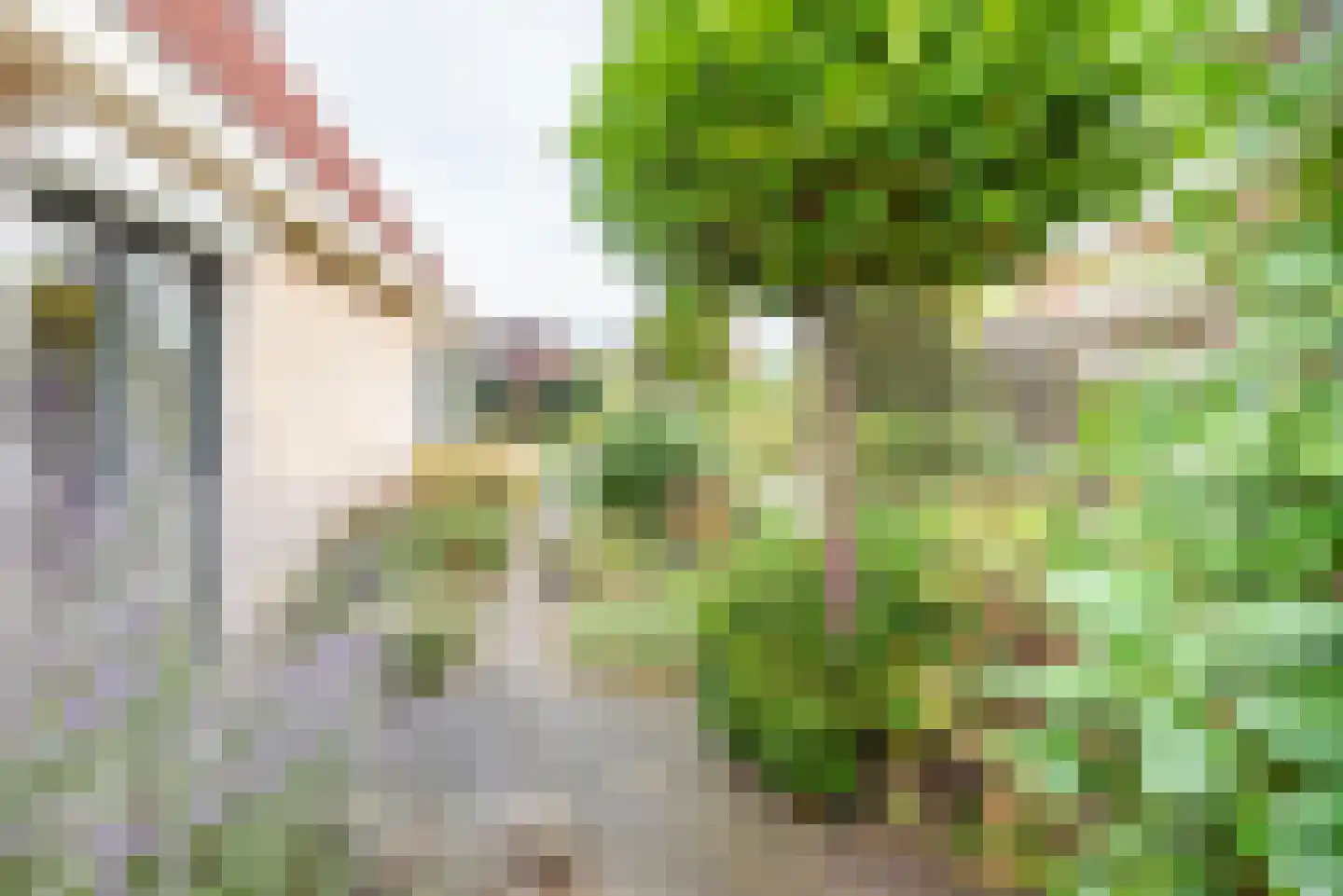 Beggelderveldweg 34 C Dinxperlo thumbnail 50