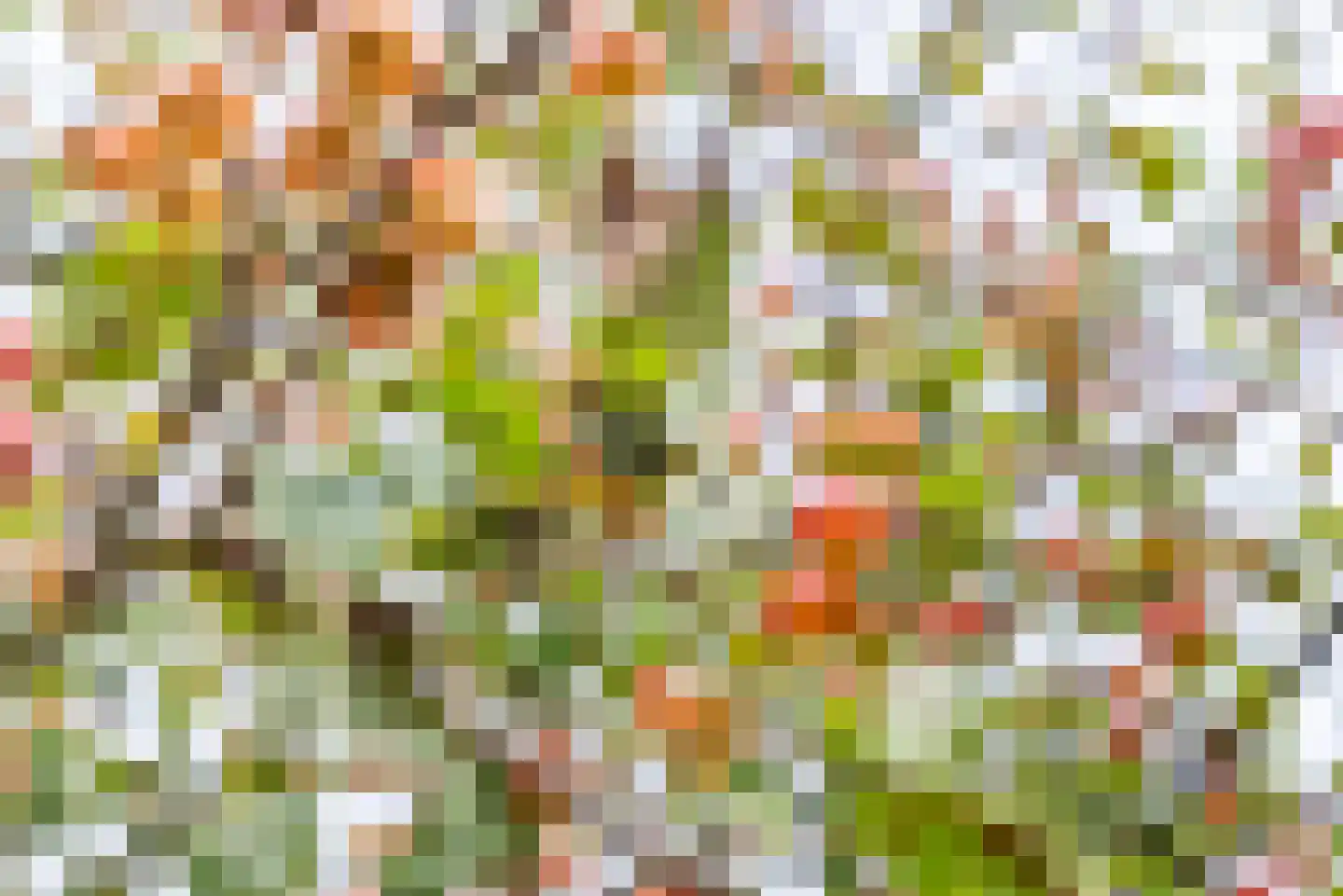 Beggelderveldweg 34 C Dinxperlo thumbnail 53