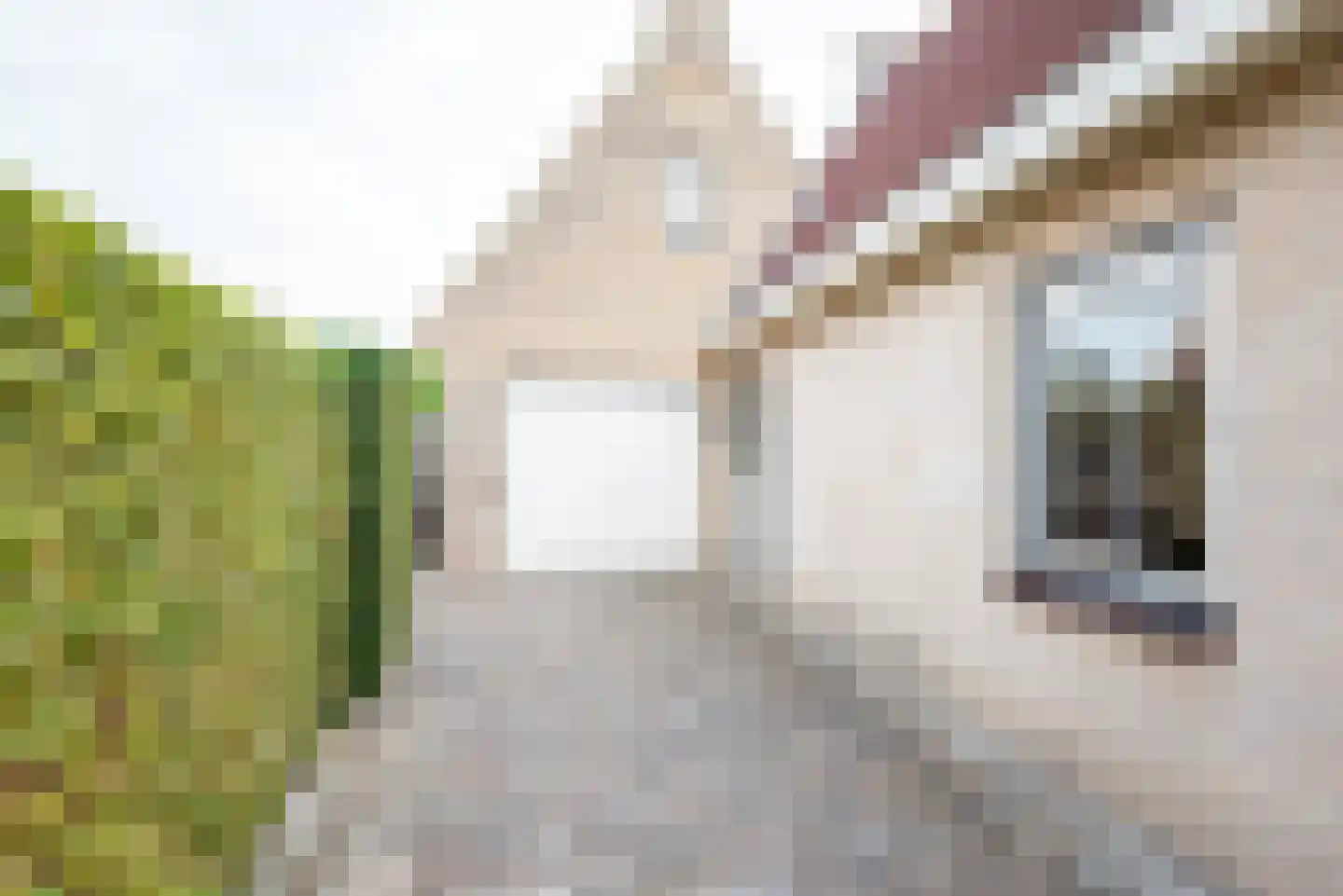 Beggelderveldweg 34 C Dinxperlo thumbnail 55