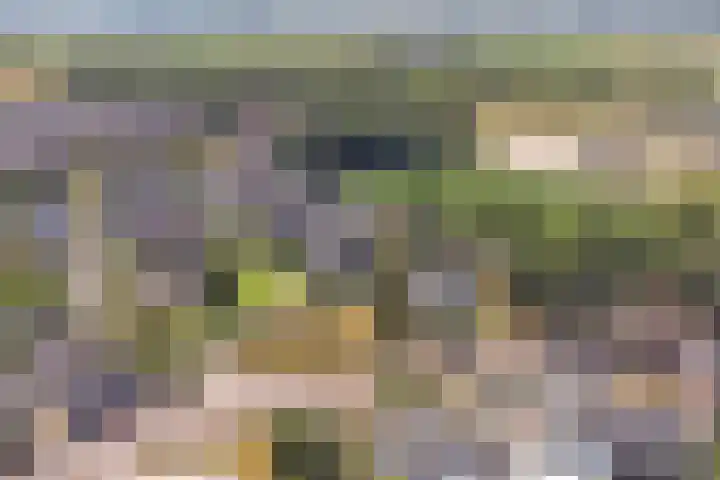 Beggelderveldweg 35 in Dinxperlo