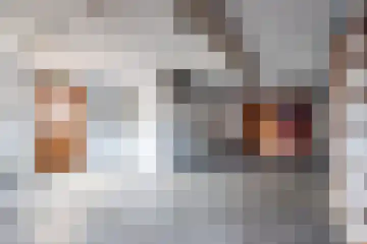 Beggelderveldweg 35 Dinxperlo thumbnail 16