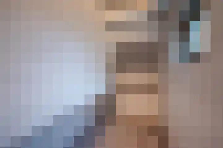 Beggelderveldweg 35 Dinxperlo thumbnail 22