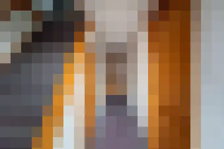 Beggelderveldweg 35 Dinxperlo thumbnail 25