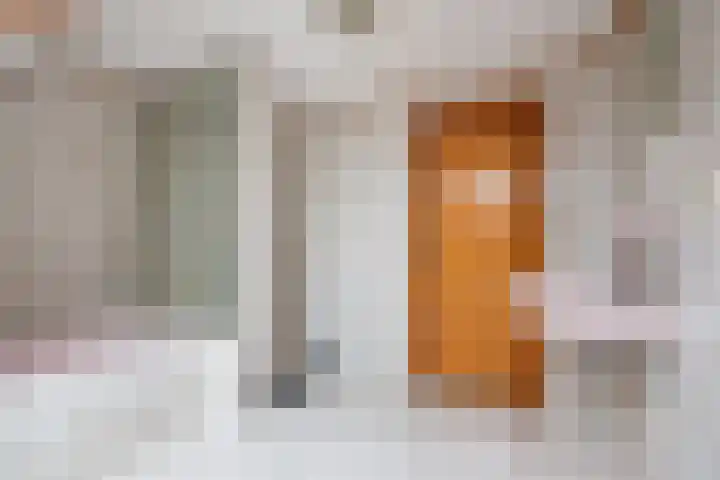Beggelderveldweg 35 Dinxperlo thumbnail 28