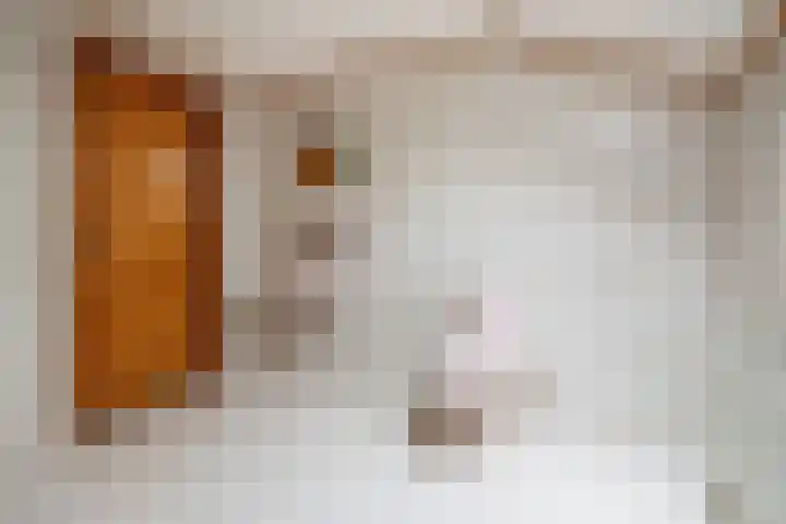 Beggelderveldweg 35 Dinxperlo thumbnail 31
