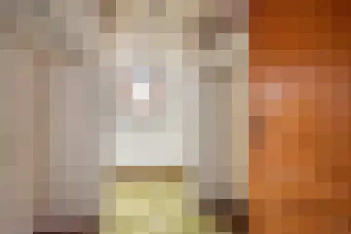 Beggelderveldweg 35 Dinxperlo thumbnail 36