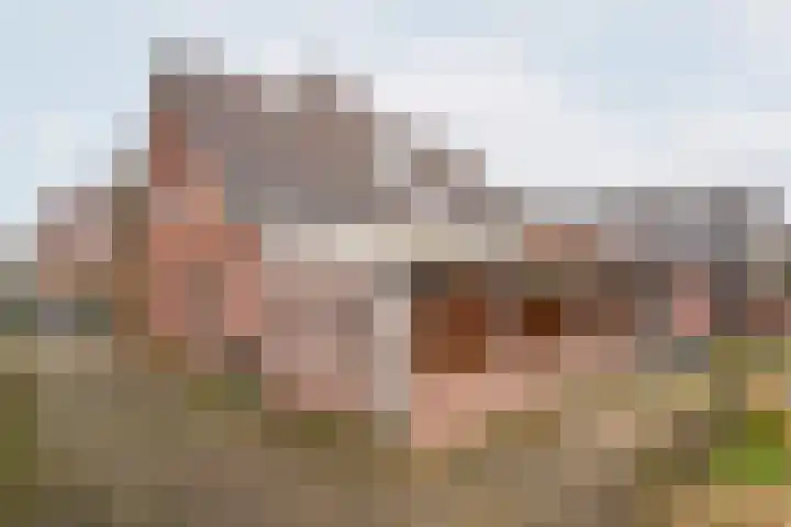 Beggelderveldweg 35 Dinxperlo thumbnail 41