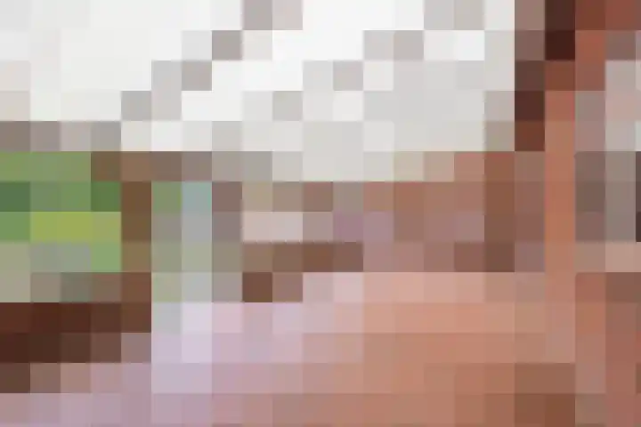 Beggelderveldweg 35 Dinxperlo thumbnail 43
