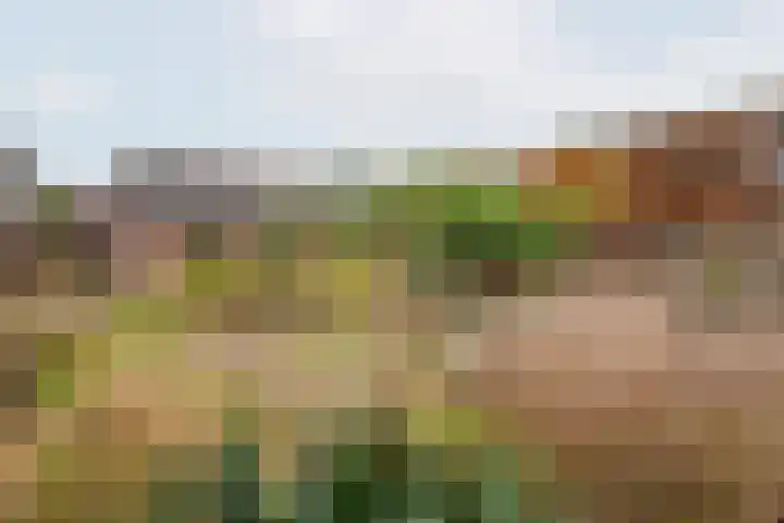 Beggelderveldweg 35 Dinxperlo thumbnail 45