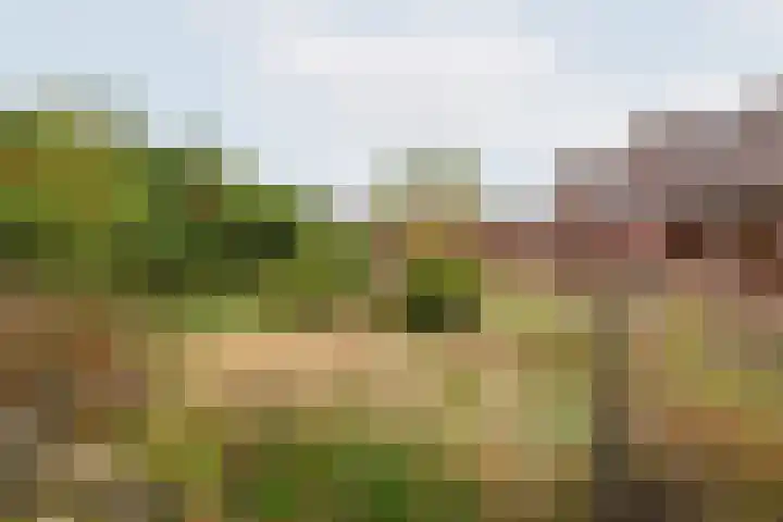 Beggelderveldweg 35 Dinxperlo thumbnail 46