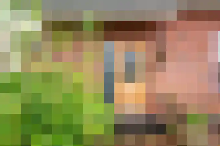 Beggelderveldweg 35 Dinxperlo thumbnail 5