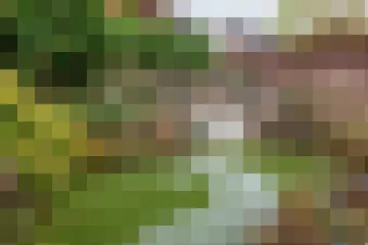 Beggelderveldweg 35 Dinxperlo thumbnail 54