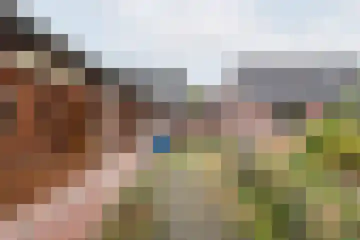 Beggelderveldweg 35 Dinxperlo thumbnail 55