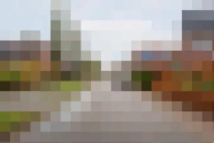 Beggelderveldweg 35 Dinxperlo thumbnail 56
