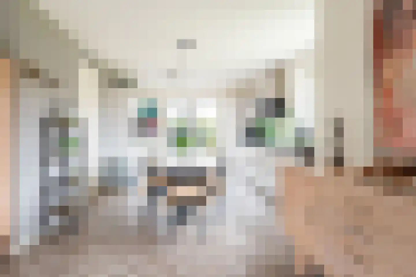 Beggelderveldweg 51 Dinxperlo thumbnail 13