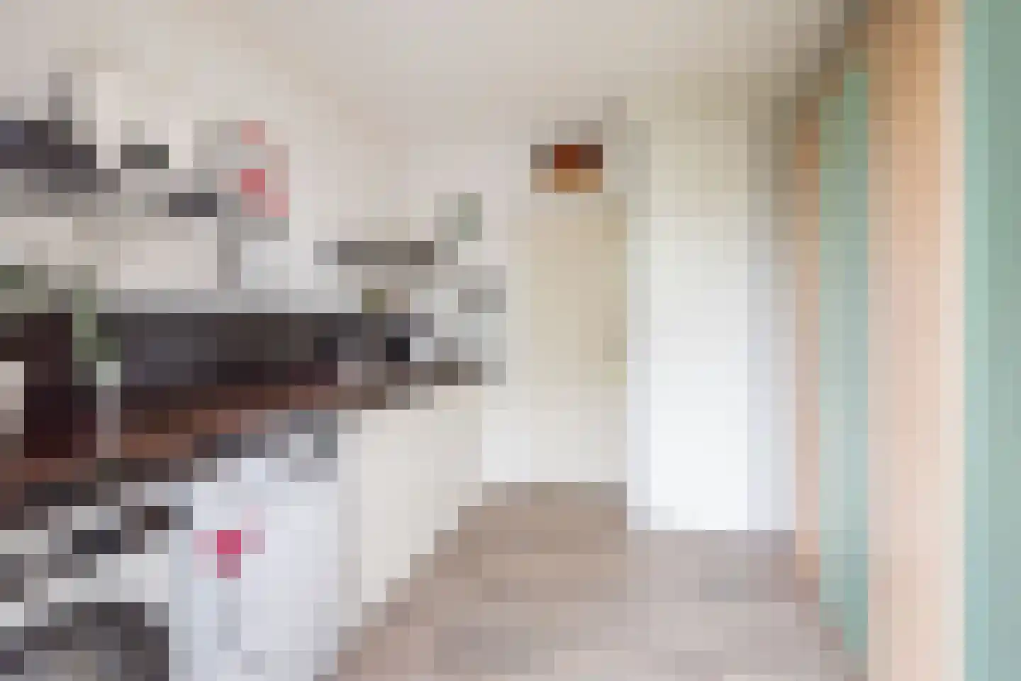 Beggelderveldweg 51 Dinxperlo thumbnail 28