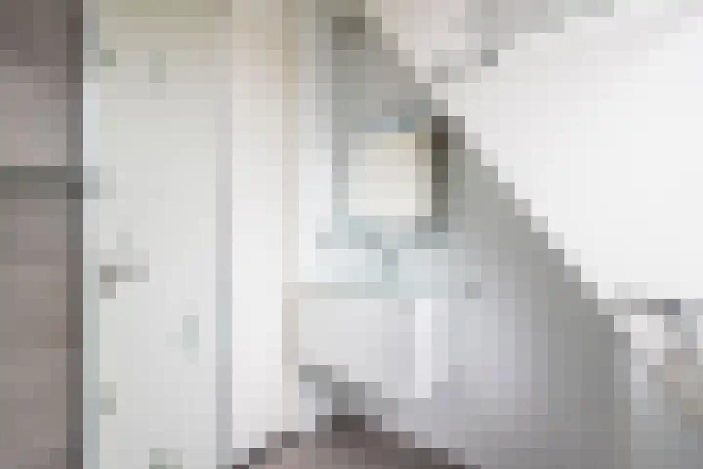 Beggelderveldweg 51 Dinxperlo thumbnail 37