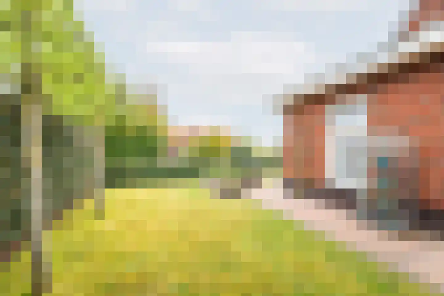 Beggelderveldweg 51 Dinxperlo thumbnail 44