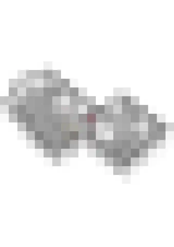 Beggelderveldweg 51 Dinxperlo thumbnail 58