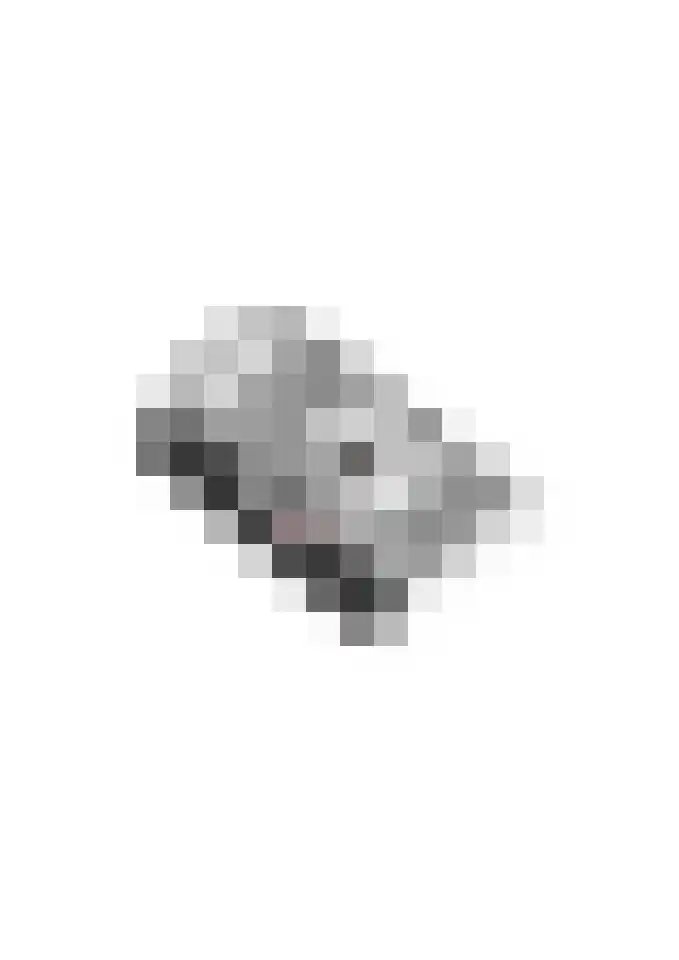 Beggelderveldweg 51 Dinxperlo thumbnail 59