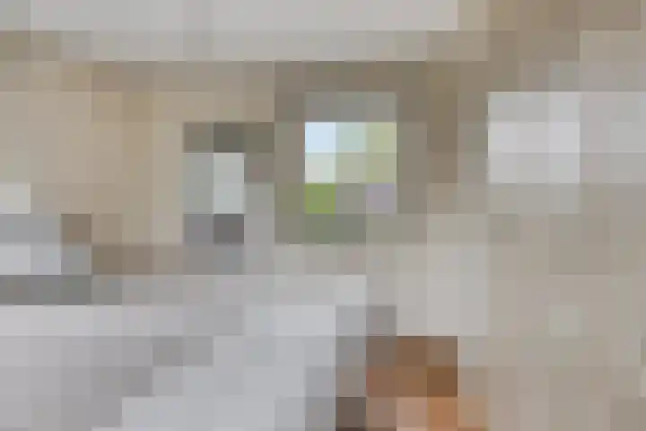 Beggelderveldweg 9 Dinxperlo thumbnail 21