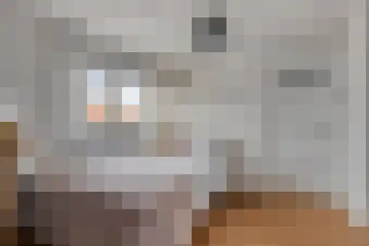 Beggelderveldweg 9 Dinxperlo thumbnail 30