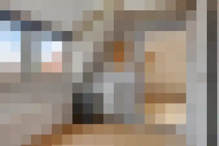 Beggelderveldweg 9 Dinxperlo thumbnail 31
