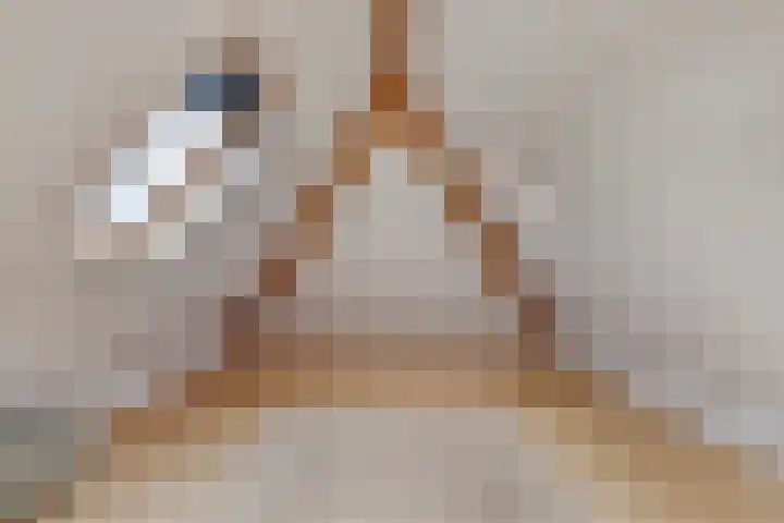 Beggelderveldweg 9 Dinxperlo thumbnail 33