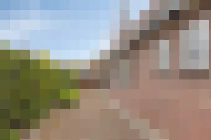 Beggelderveldweg 9 Dinxperlo thumbnail 35