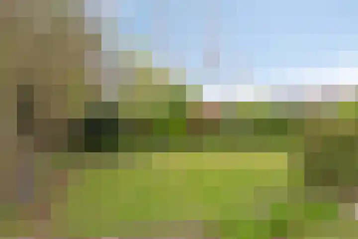 Beggelderveldweg 9 Dinxperlo thumbnail 37
