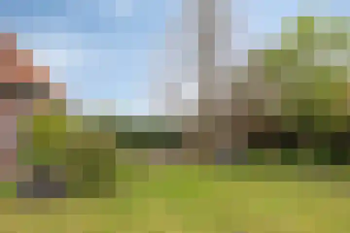 Beggelderveldweg 9 Dinxperlo thumbnail 38
