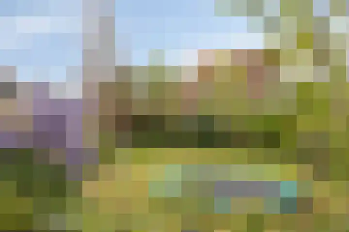Beggelderveldweg 9 Dinxperlo thumbnail 39